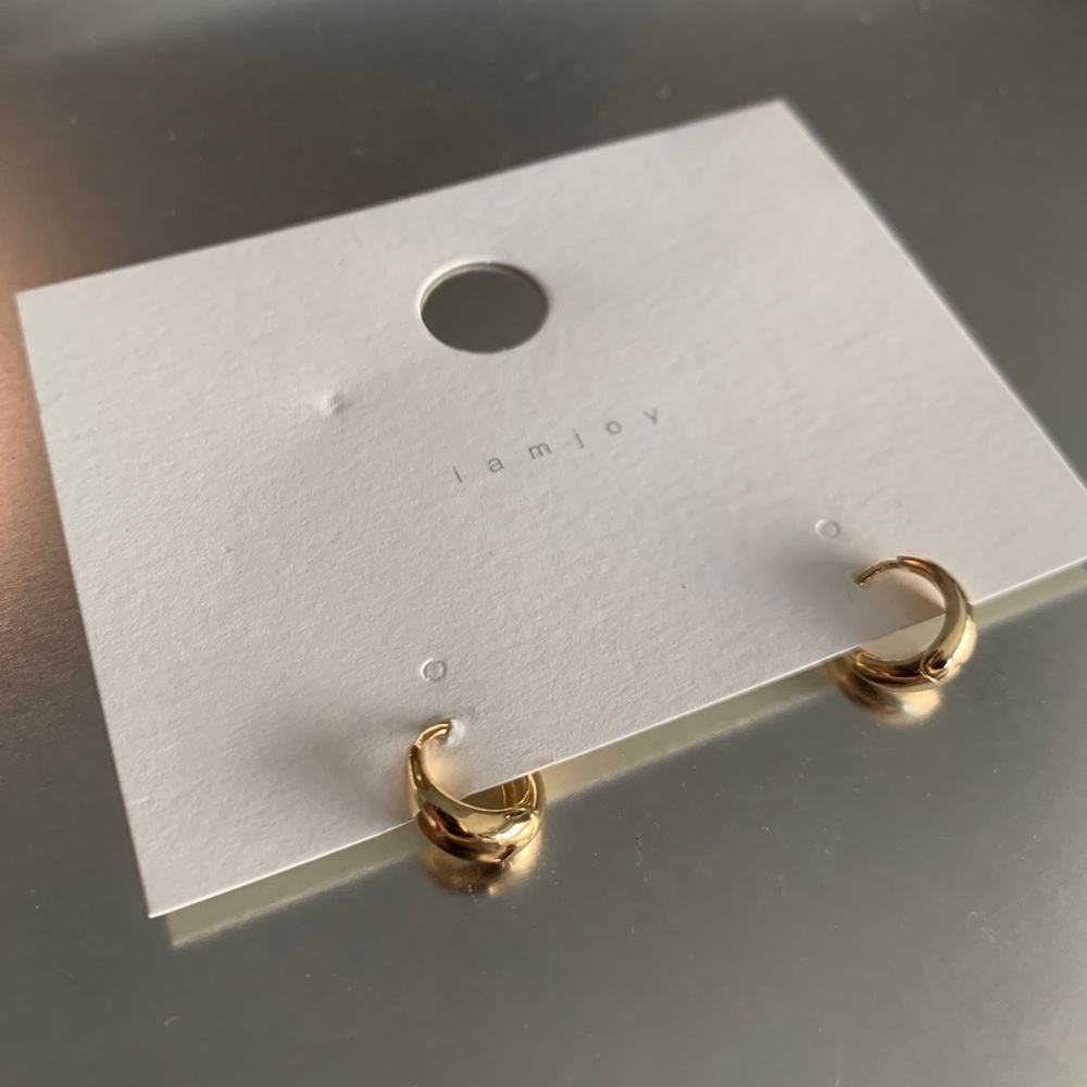 SOLD ✨NEW✨ Korean Small Hoop Leverback Earrings